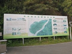 -羚羊峡古栈道森林公园