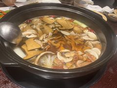 -滇野云南野生菌餐厅(陕西南路店)