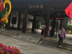 -莲湖公园