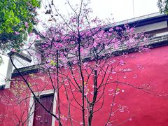 -乌山风景区