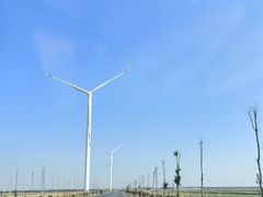 -盐城丹顶鹤湿地生态旅游区