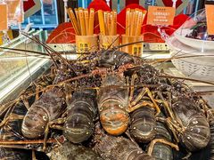 -南海渔村(珠江新城店)