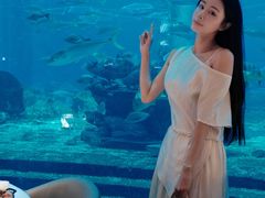 -亚特兰蒂斯•OSSIANO奥西亚诺海底餐厅