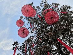 -武汉园博园(武汉自然博物馆)