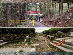 -午潮山国家森林公园