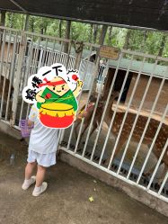 -蓝可可亲子乐园(北苑店)