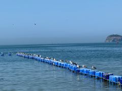 -海驴岛(荣成市)