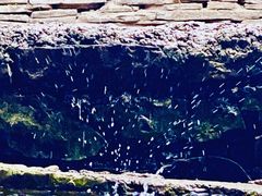 -高荡千年布依古寨旅游景区