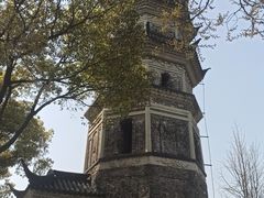 -苏州上方山国家森林公园