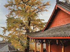 -金堂县云顶石城风景区