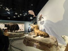 -中国湿地博物馆