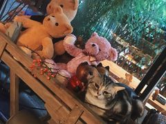 -咖法森林·咖啡  酒吧(天河店)