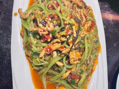 -陈麻婆豆腐总店