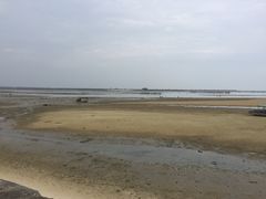-北海金海湾红树林生态旅游区