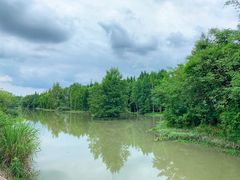 -桤木河湿地公园