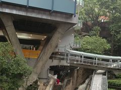 -香港大学
