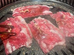 -杨记齐齐哈尔烤肉(总店)