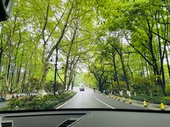 -野蔓果·山野菜(西湖景区·龙井茶田店)