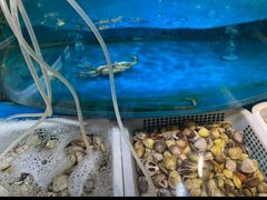 -深海800米海鲜自助(万达广场店)
