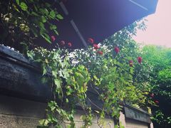 龙井菜馆-龙井壹号·茶缘山景宴(龙井村店)