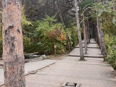 -帽儿山国家森林公园