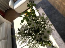 -HEYAN荷妍专业脱毛连锁机构