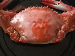 -鲜得莱渔港·小平岛海胆馆(七贤岭店)