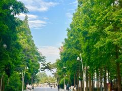 -日照海滨国家森林公园