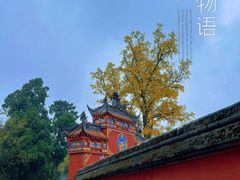 -金堂县云顶石城风景区