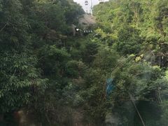 -普陀山风景区-佛顶山