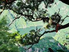 -秦岭终南山世界地质公园翠华山景区