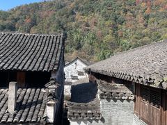 -四明山国家森林公园