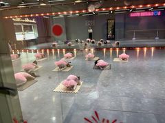 -星舞宝贝少儿舞蹈艺术(天山西路店)