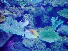 -常州海昌海洋探索馆