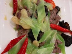 -圣厨牛腩(青春岛社区玉寿苑店)
