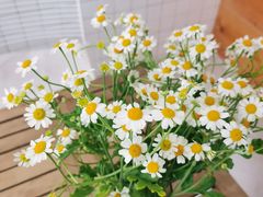 -COTTON CAFE(德信·中外公寓店)