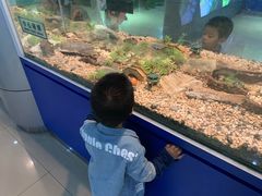 -上海昆虫博物馆