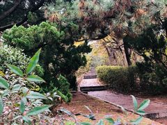 -贮水山儿童公园