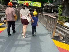 -圣淘沙天际线斜坡滑车