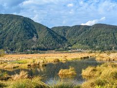 -腾冲北海湿地