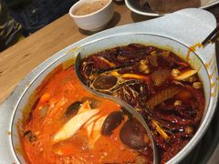 -青瓷火锅料理(西单大悦城店)