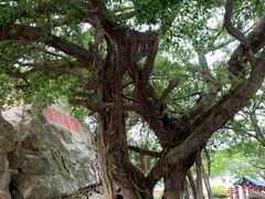 -东山风动石景区