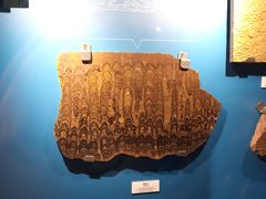 -正佳自然科学博物馆