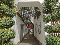 -沈阳植物园