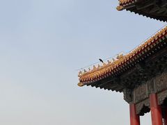 -故宫博物院(故宫)