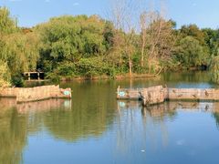 -溱湖国家湿地公园