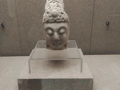 -平原博物院