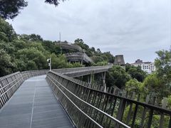 -福道
