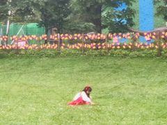 -武陵山森林公园