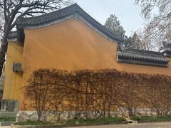 -灵谷景区
